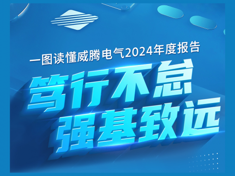 一图读懂威腾电气2024年度报告